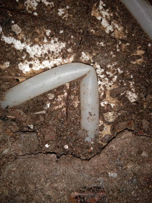 新丰堵点精准查找